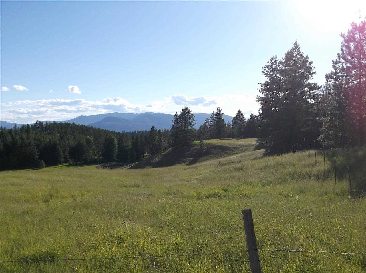 717 Prouty Corner Loop Road Colville, WA 99114 - Photo 4 of 14