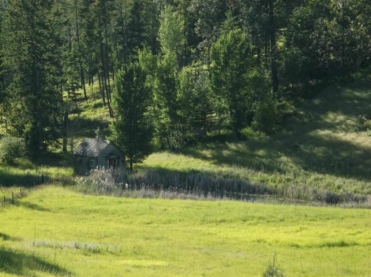 717 Prouty Corner Loop Road Colville, WA 99114 - Photo 5 of 14