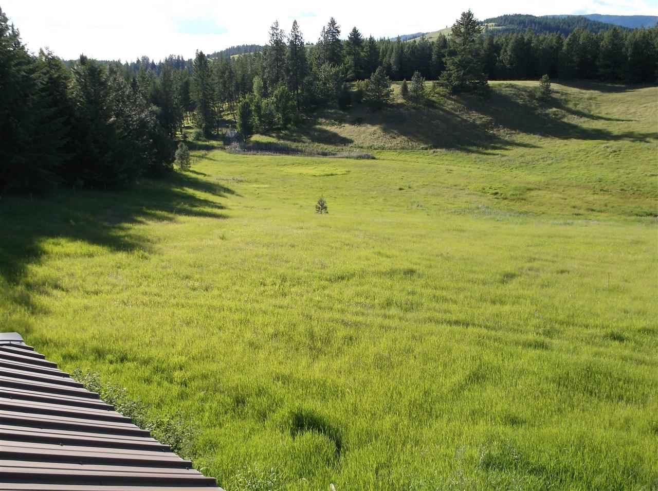 717 Prouty Corner Loop Road Colville, WA 99114 - Photo 7 of 14