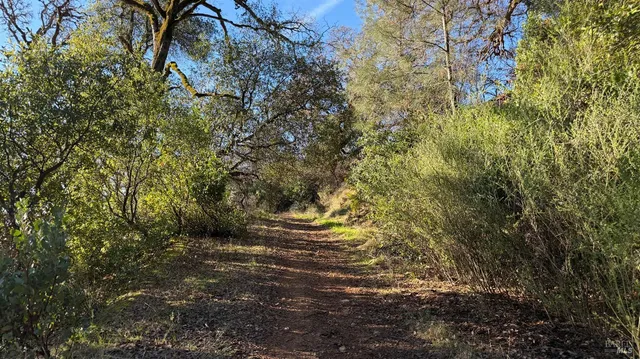 $39,000 | 3315 Filmore Street, Nice, CA 95464