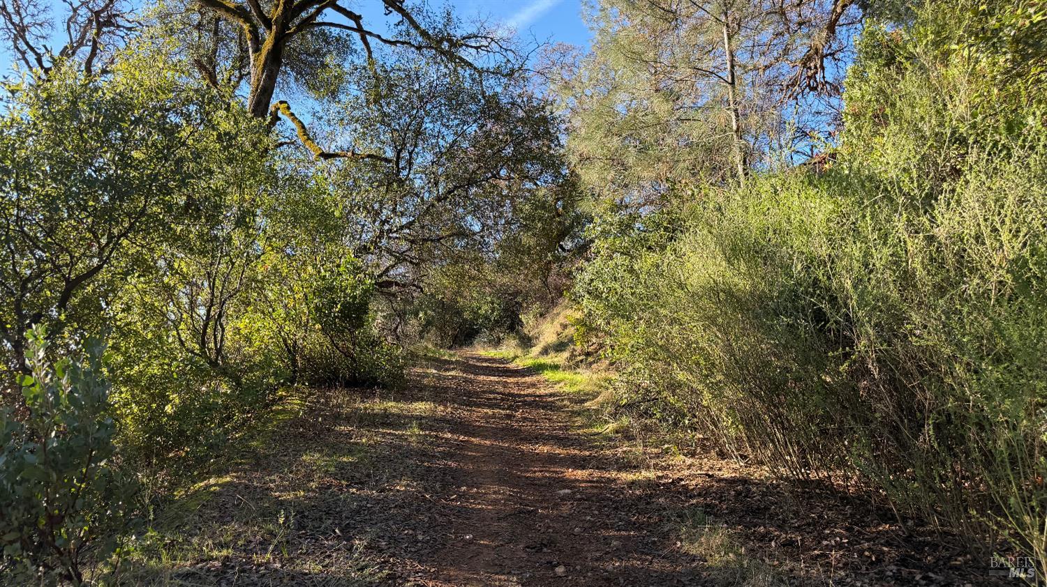 3315 Filmore Street Nice, CA 95464 - Photo 1 of 11