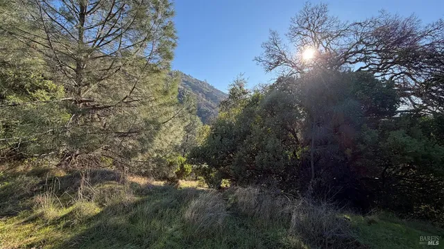 $39,000 | 3315 Filmore Street, Nice, CA 95464