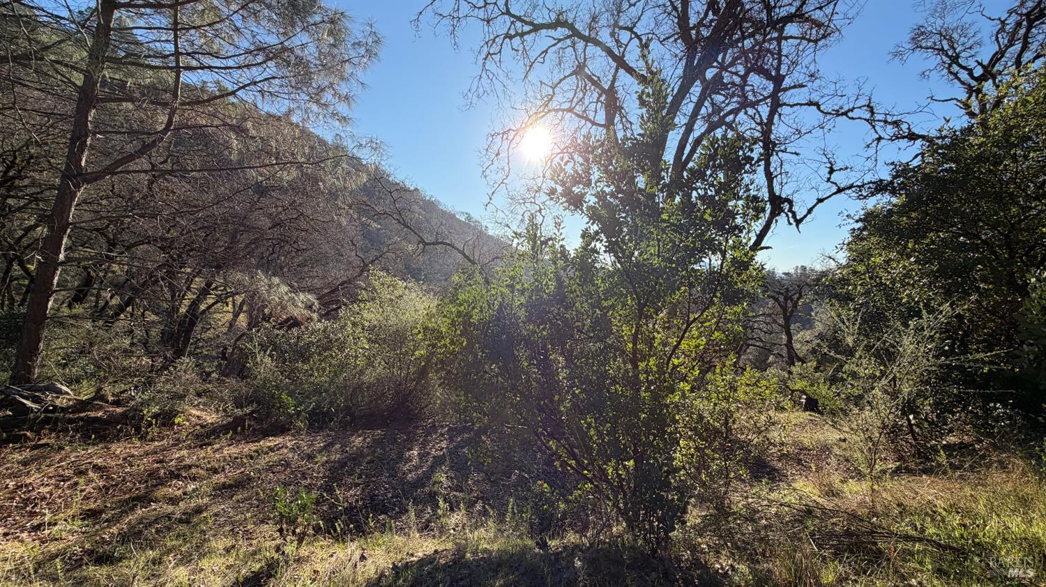 3315 Filmore Street Nice, CA 95464 - Photo 3 of 11