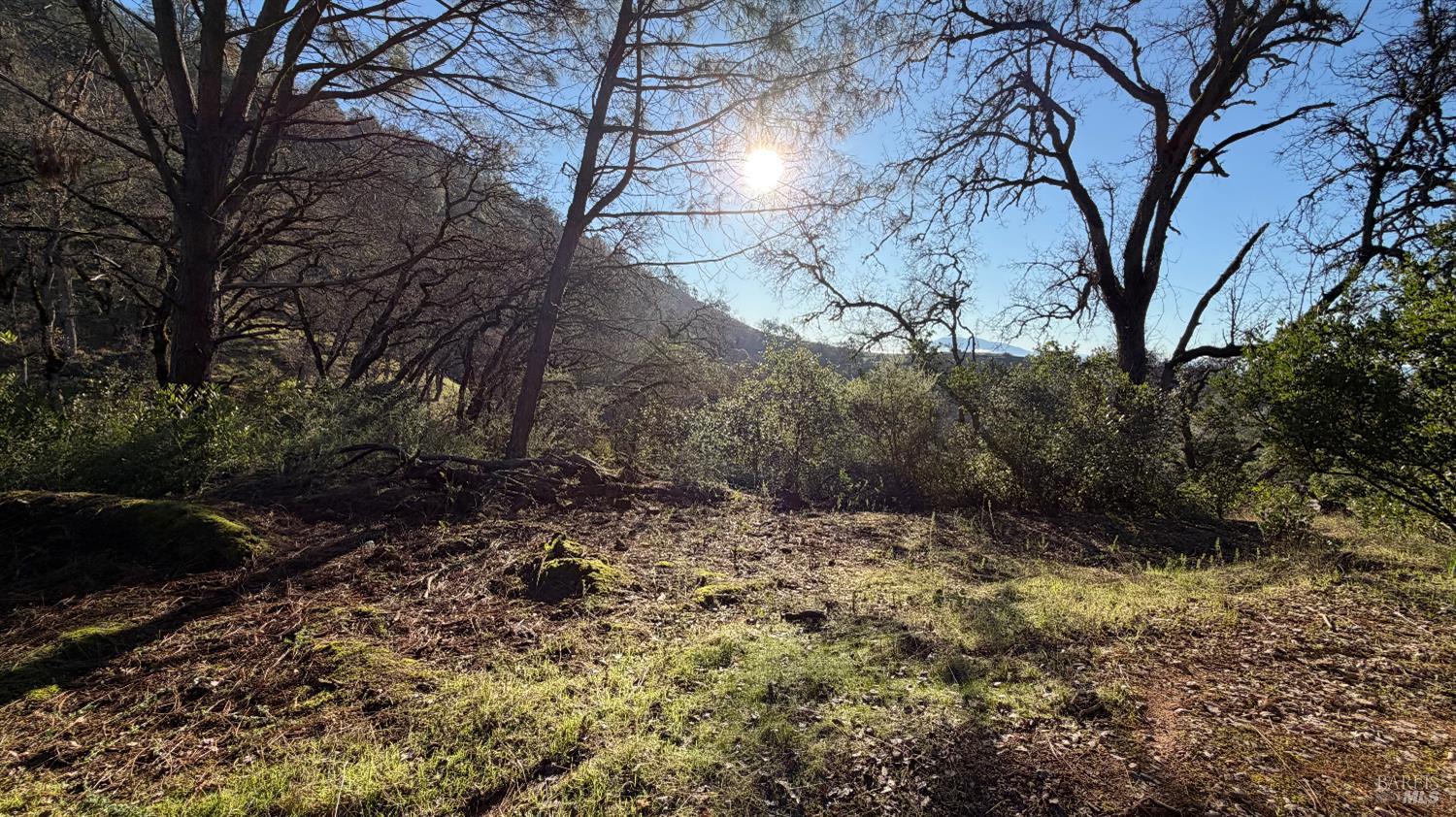 3315 Filmore Street Nice, CA 95464 - Photo 4 of 11