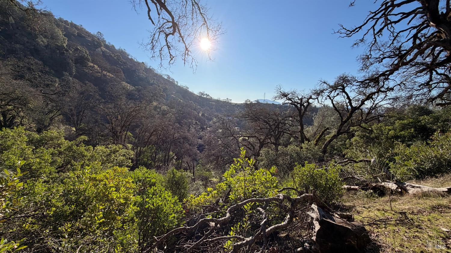 3315 Filmore Street Nice, CA 95464 - Photo 6 of 11