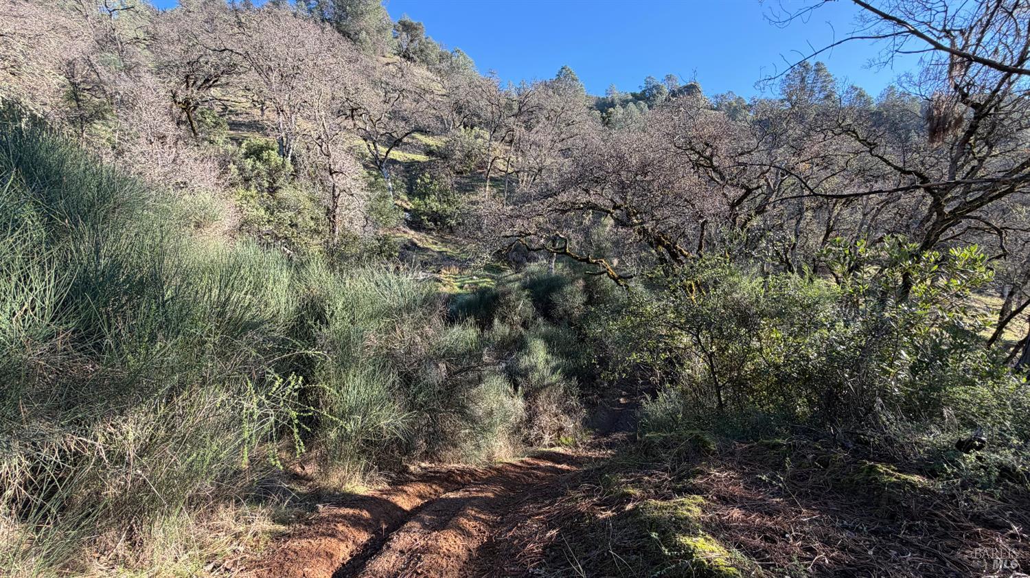 3315 Filmore Street Nice, CA 95464 - Photo 8 of 11