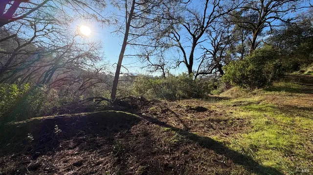 $39,000 | 3315 Filmore Street, Nice, CA 95464