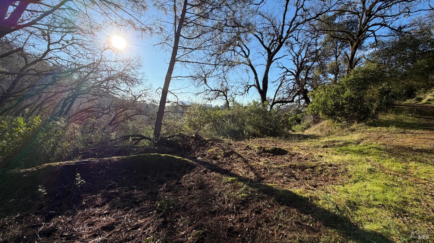 3315 Filmore Street Nice, CA 95464 - Photo 9 of 11