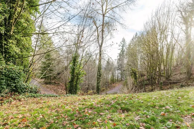 a backyard of a house with lots of green space