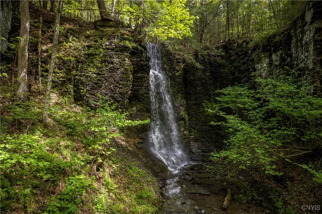 $539,000 | 11193 Huey Road, Brookfield, NY 13364