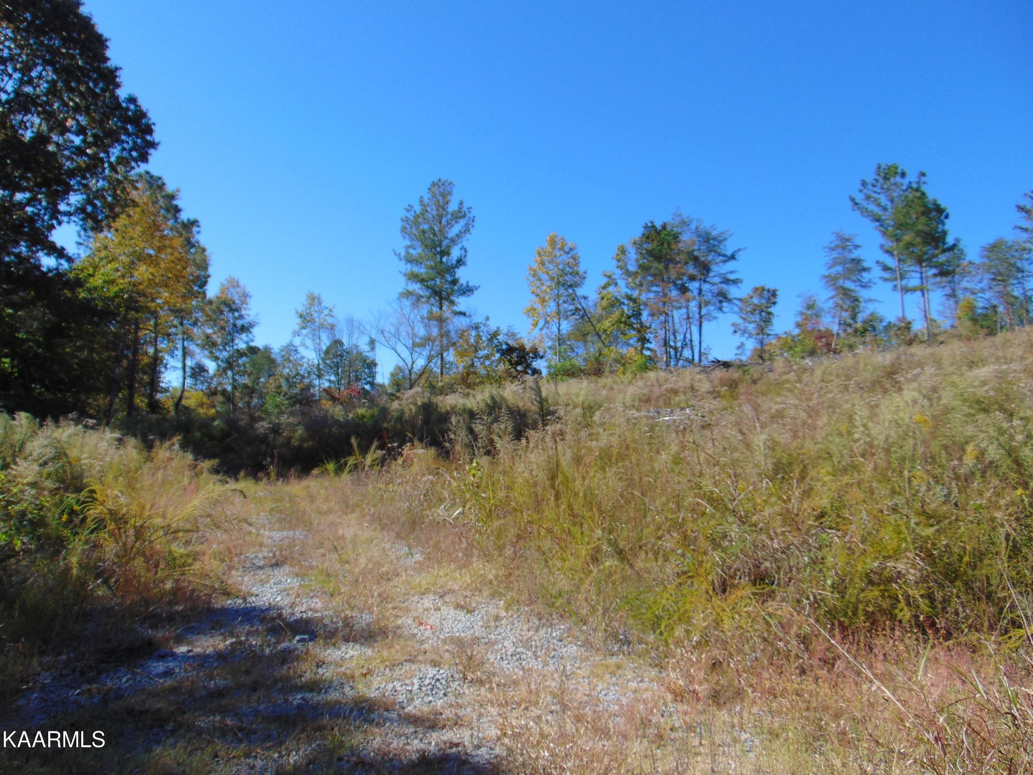156 Cameron Road Decatur, TN 37322 - Photo 2 of 24