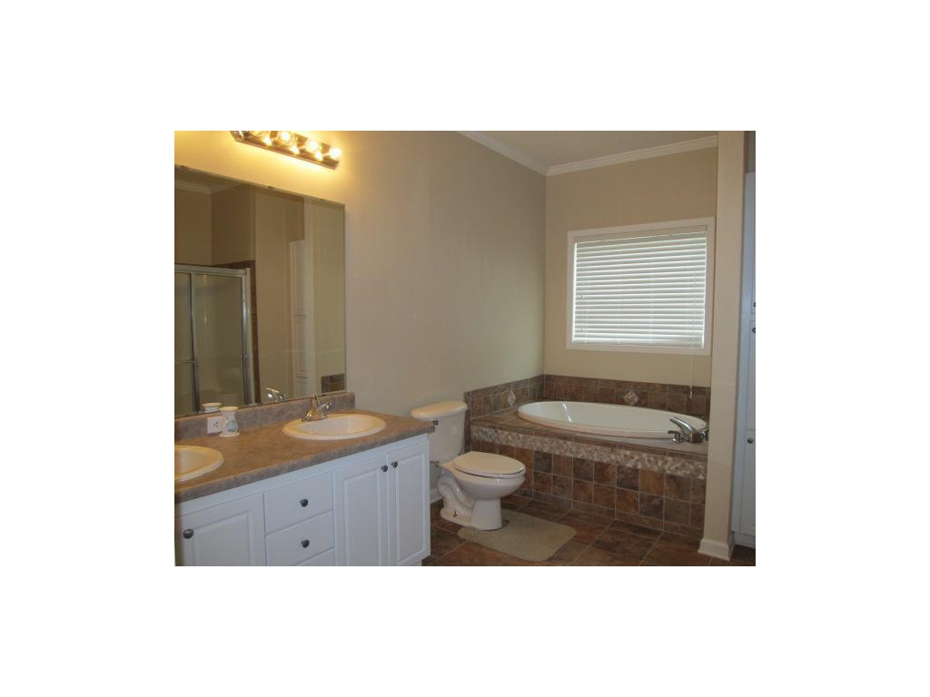 1215 Jim Fox Road Greeneville, TN 37743 - Photo 8 of 20 Master Bath