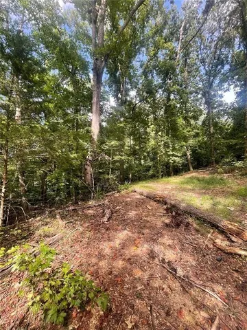 a view of a large yard with lots of green space