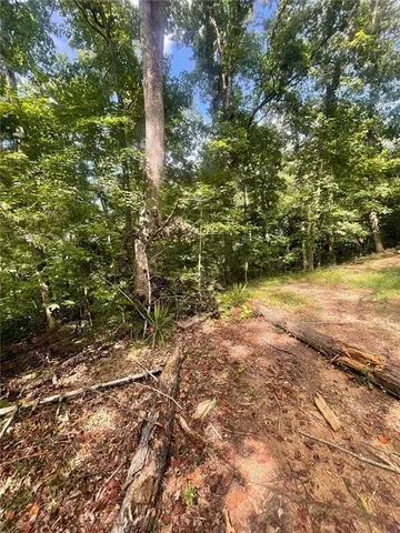 a view of a yard with a tree