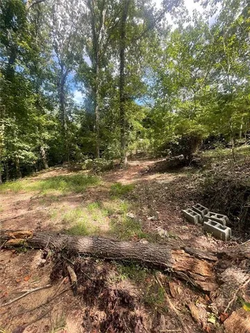 a view of a yard with plants and trees