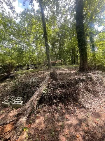 a view of a yard with plants and large trees
