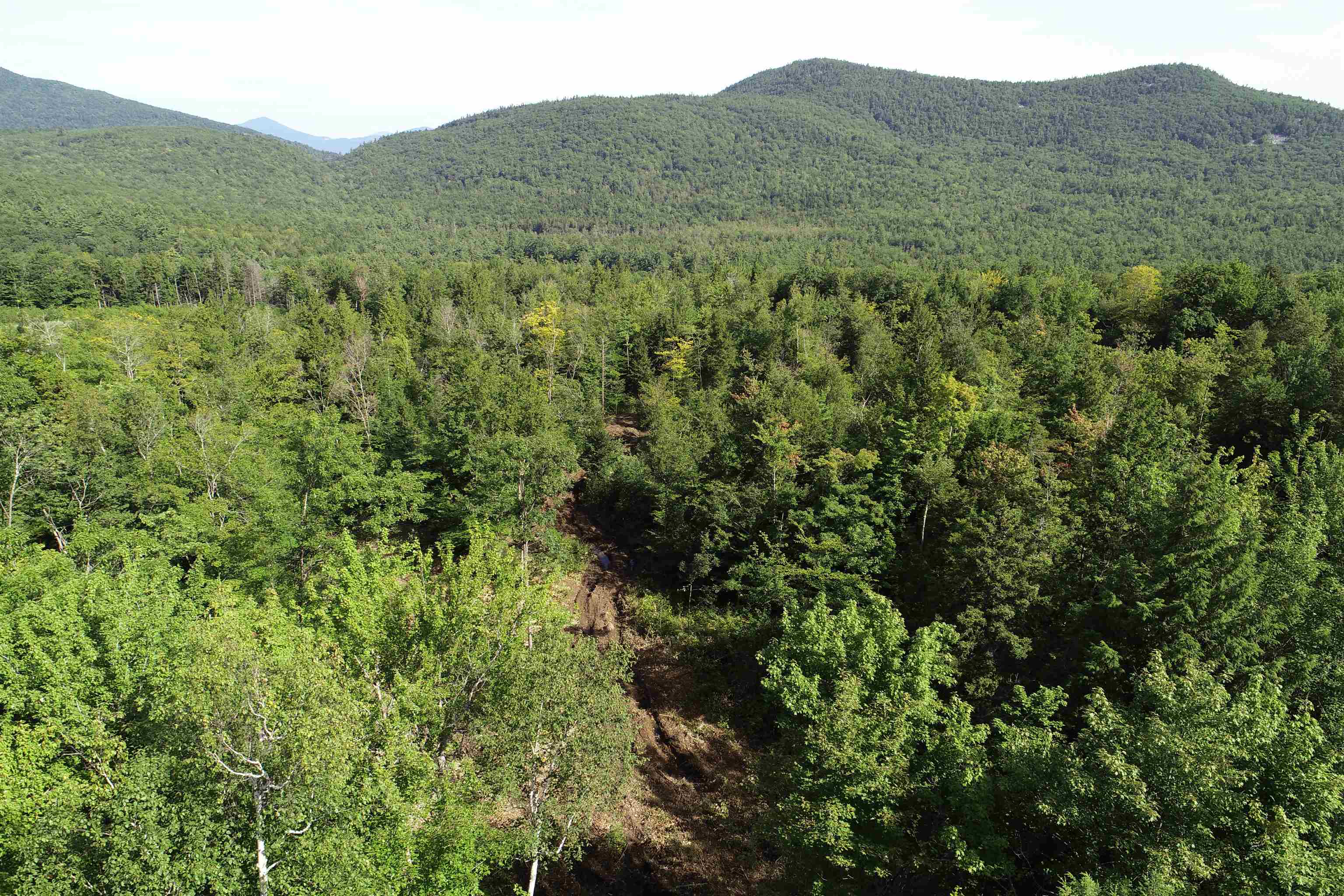 63 Ossipee Mountain Road, Unit 63/115 Ossipee, NH 03814 - Photo 14 of 15