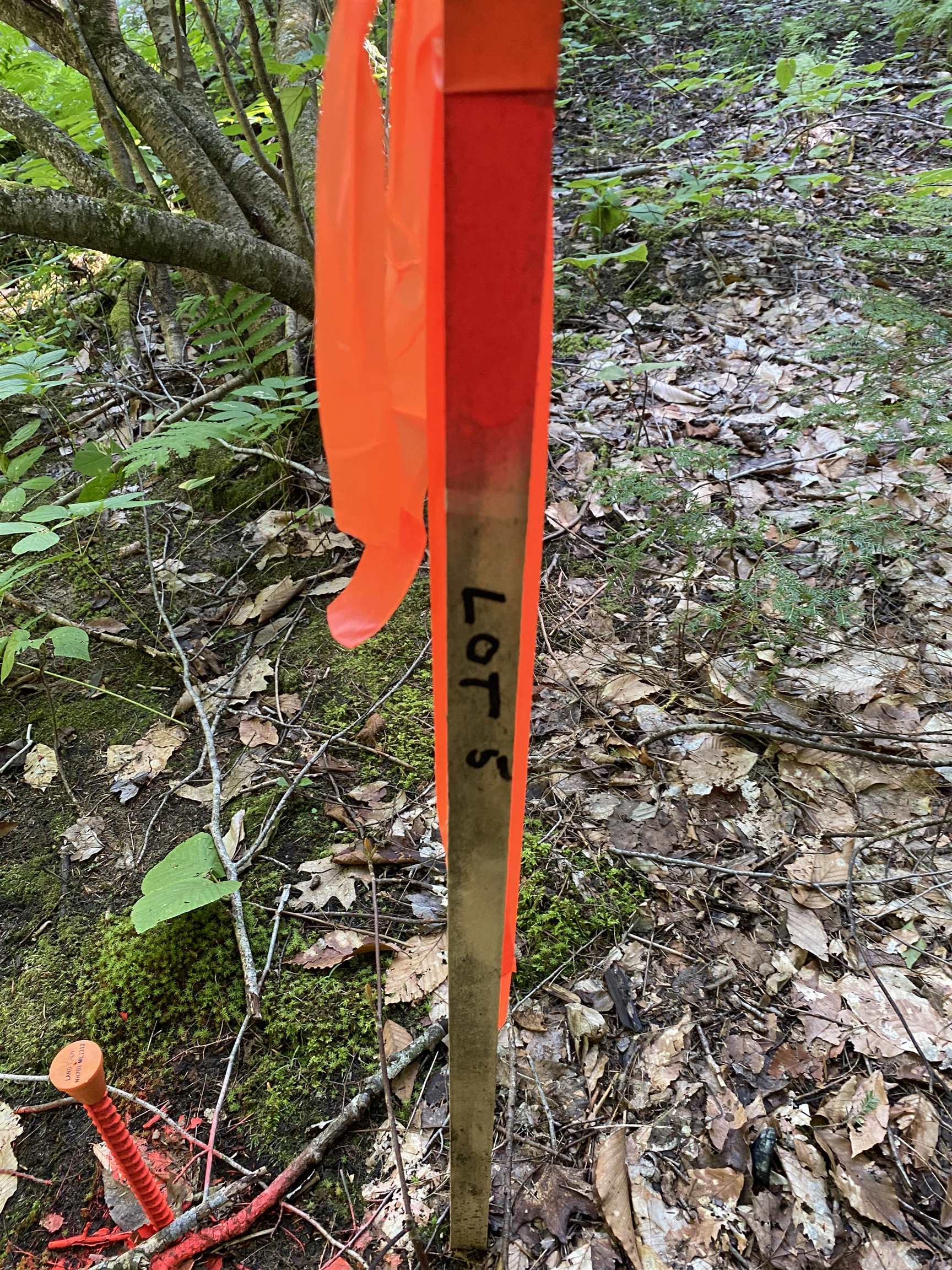 63 Ossipee Mountain Road, Unit 63/115 Ossipee, NH 03814 - Photo 3 of 15