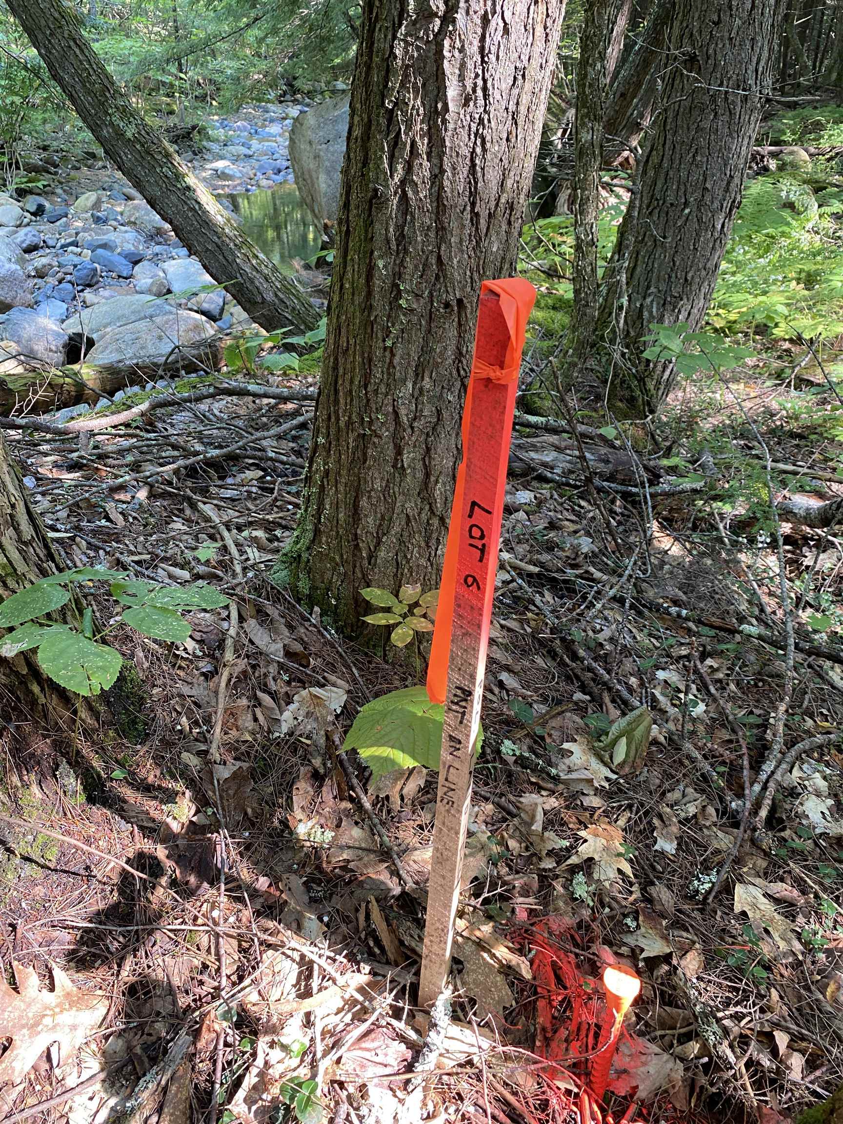 63 Ossipee Mountain Road, Unit 63/115 Ossipee, NH 03814 - Photo 4 of 15