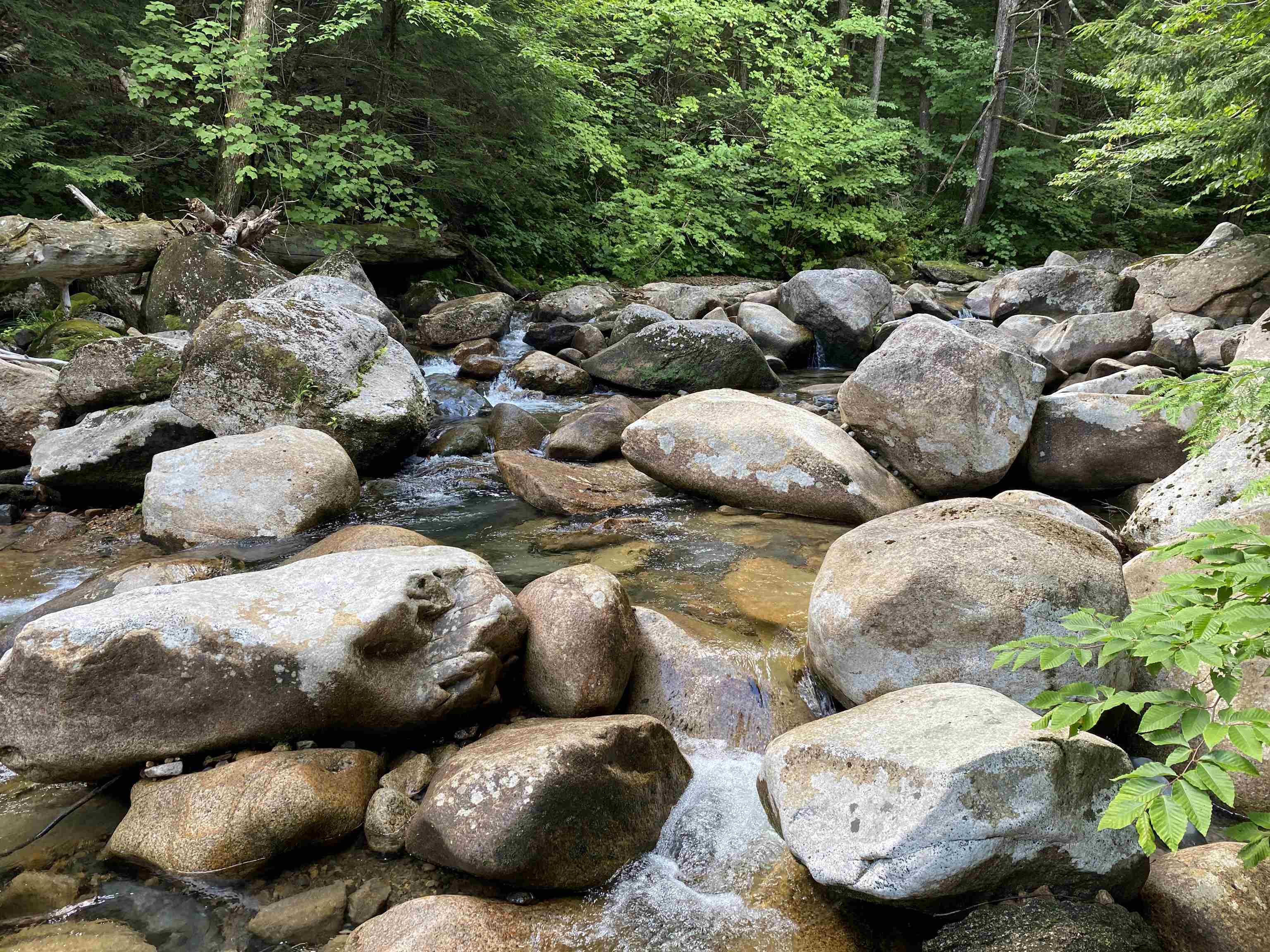 63 Ossipee Mountain Road, Unit 63/115 Ossipee, NH 03814 - Photo 5 of 15