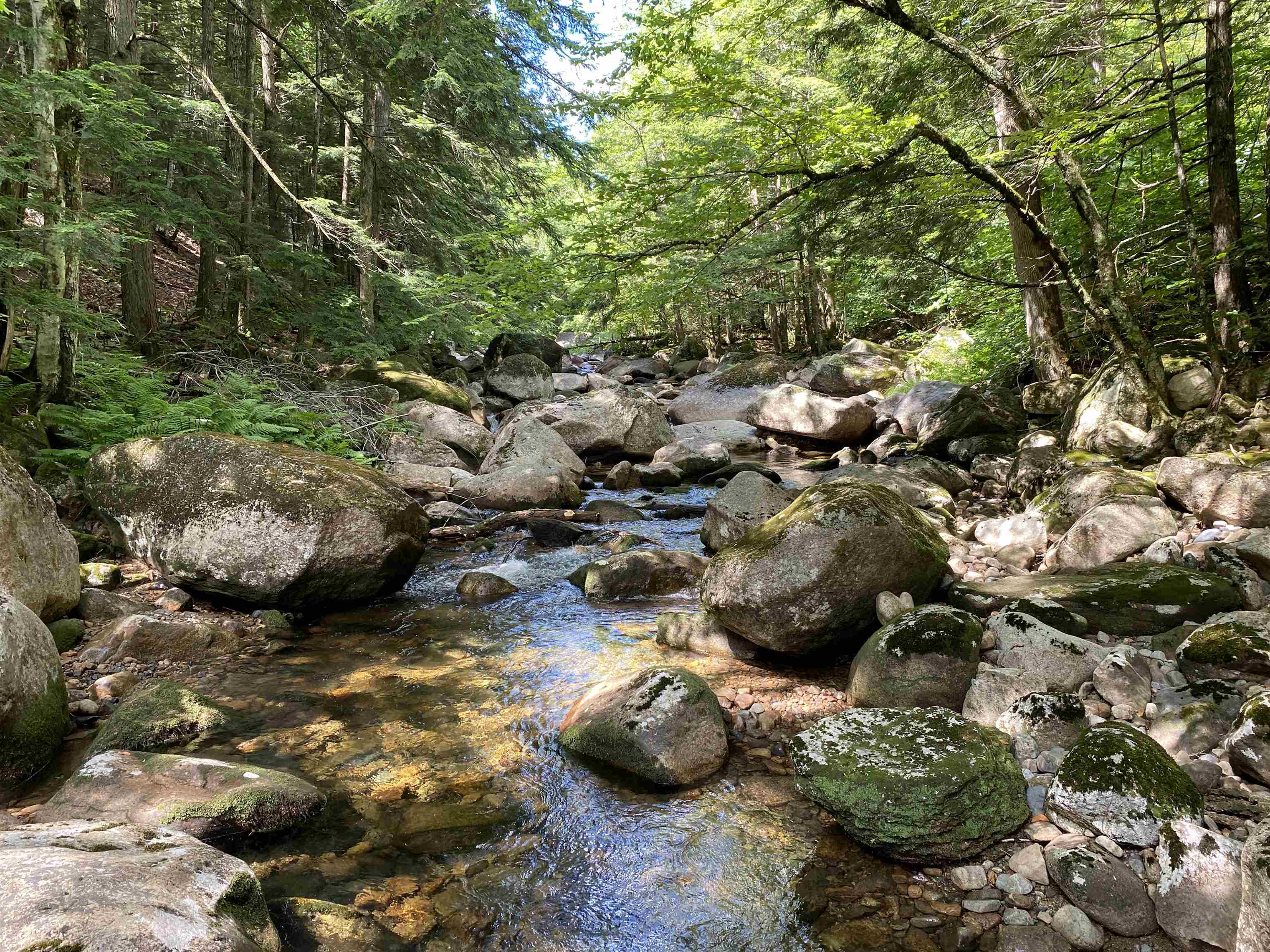 63 Ossipee Mountain Road, Unit 63/115 Ossipee, NH 03814 - Photo 6 of 15