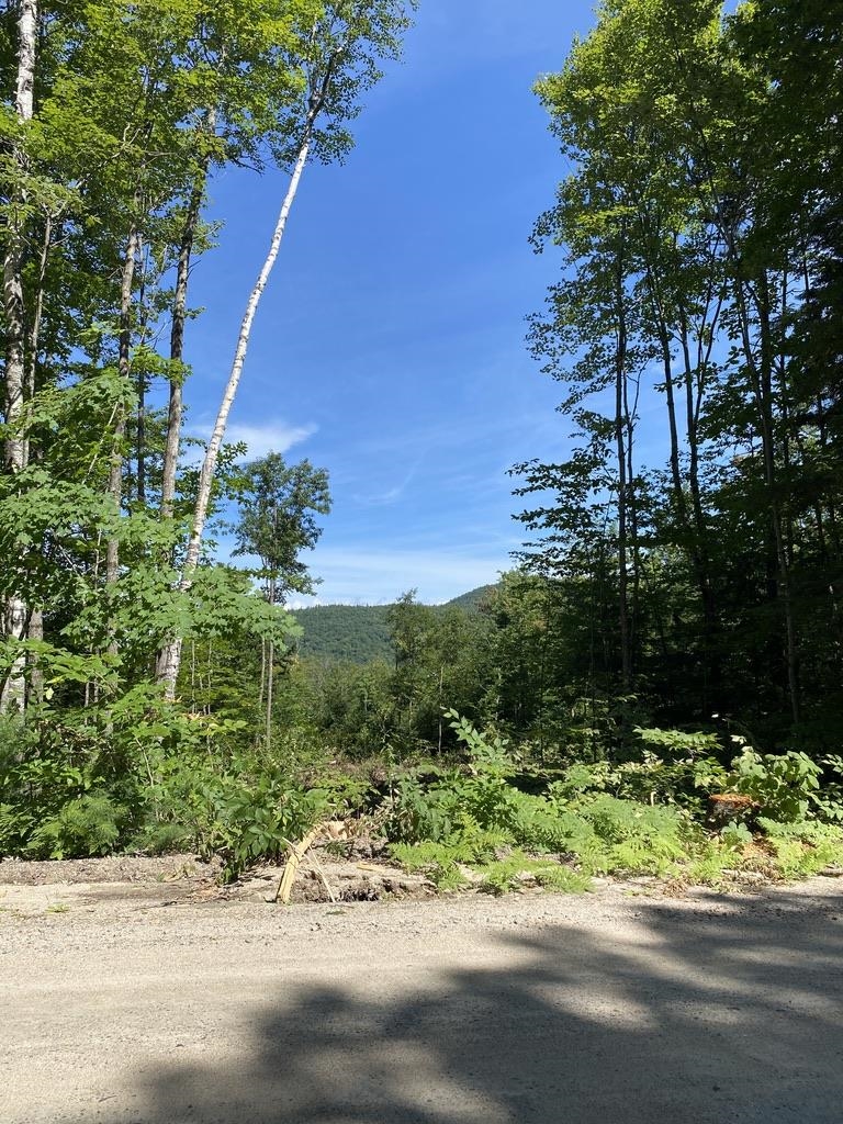 63 Ossipee Mountain Road, Unit 63/115 Ossipee, NH 03814 - Photo 8 of 15