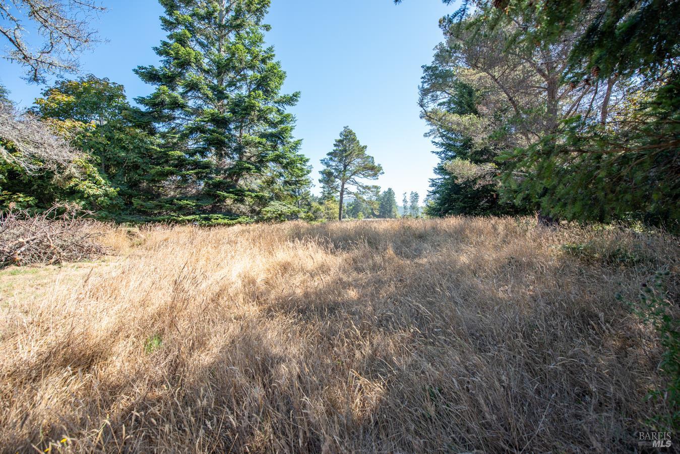 35858 Sea Ridge Road The Sea Ranch, CA 95497 - Photo 8 of 21 Gallery Image 8
