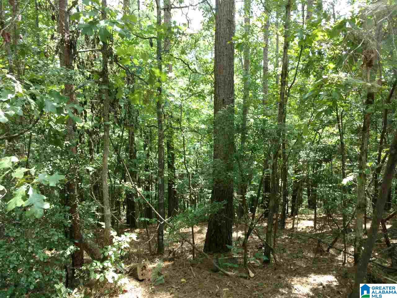 6 County Road Wedowee, AL 36278 - Photo 2 of 2