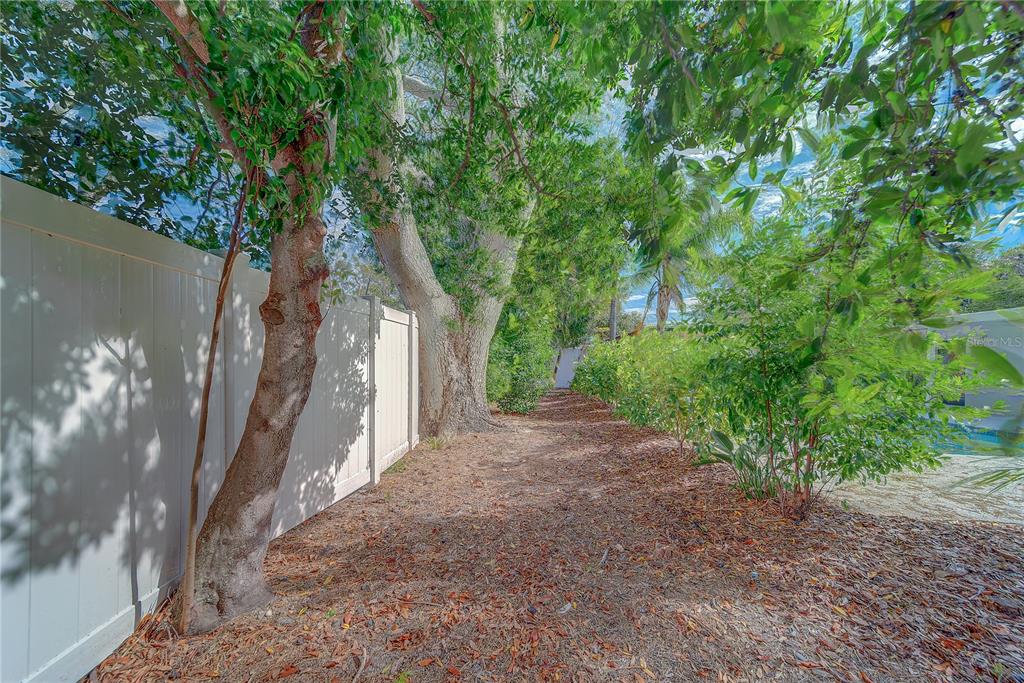 1152 Jackmar Road Dunedin, FL 34698 - Photo 56 of 60 a view of a backyard