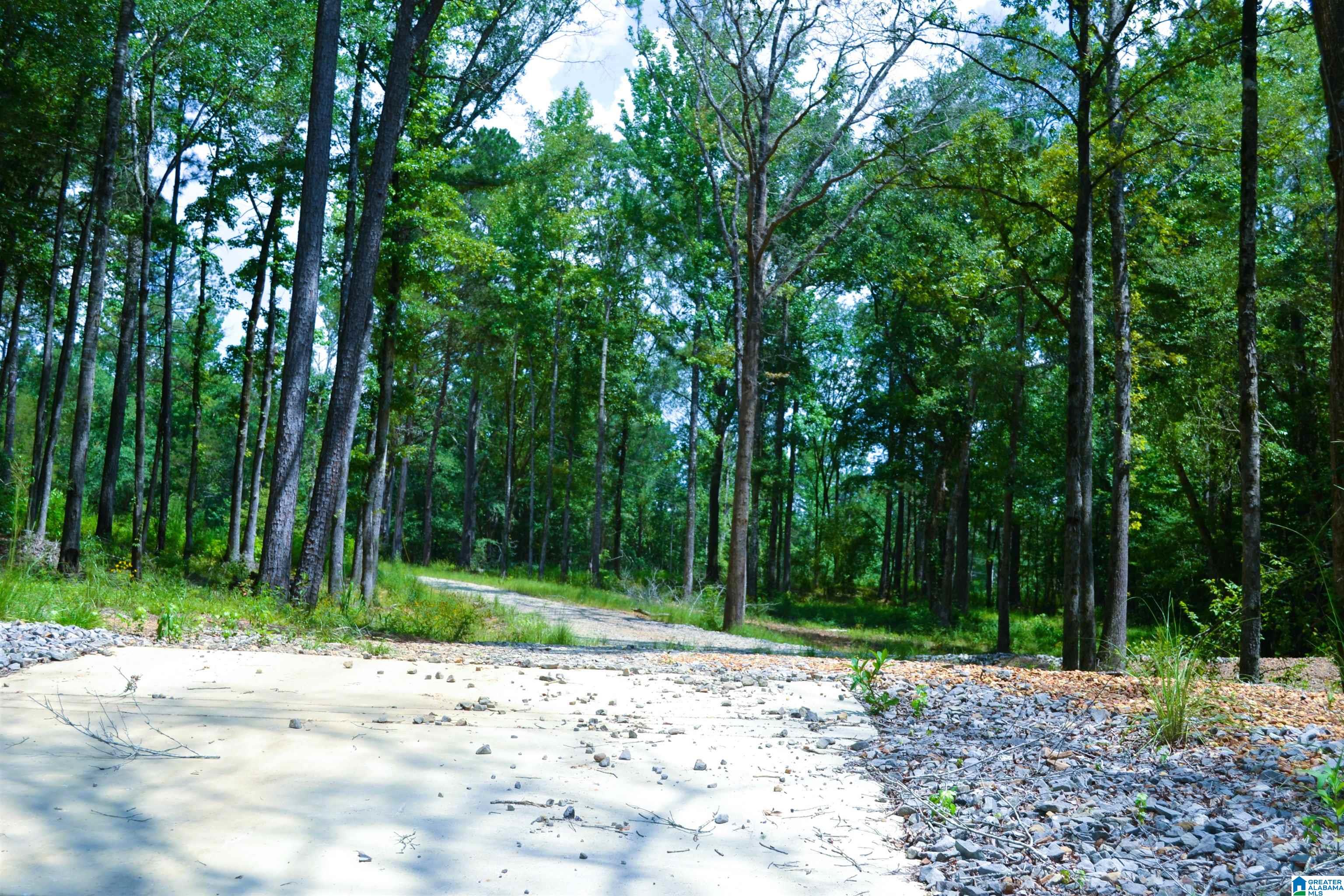 1279 Riverside Drive, Unit 44 Tuscaloosa, AL 35401 - Photo 8 of 26