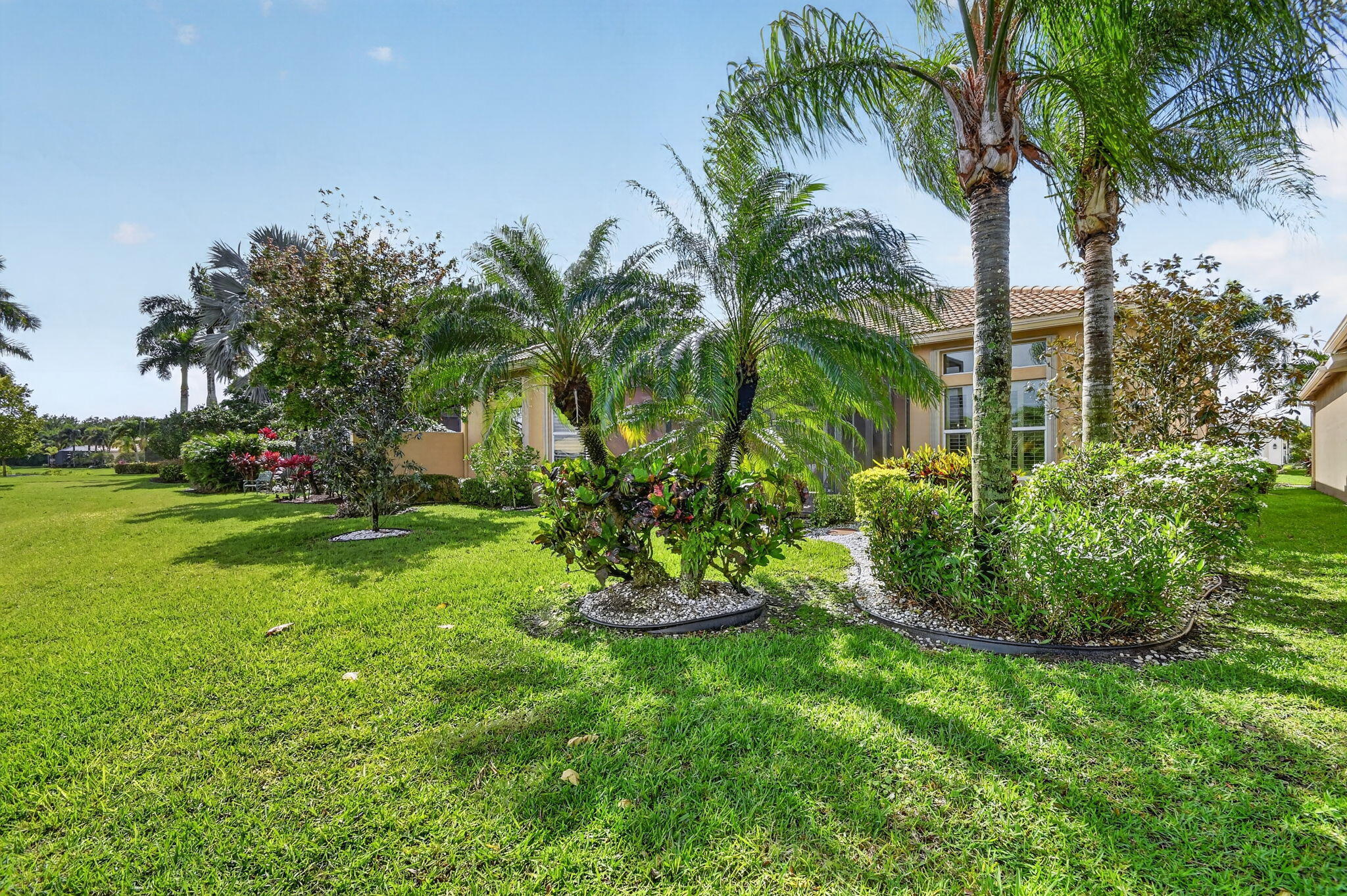 9119 Ribbons Ridge Point Boynton Beach, FL 33473 - Photo 47 of 91 a view of a backyard with palm trees