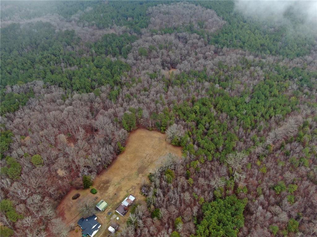 1702 Jones Ferry Road Elberton, GA 30635 - Photo 12 of 21 a view of a forest with a tree