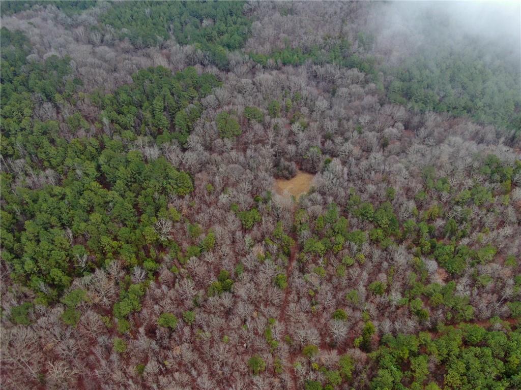 1702 Jones Ferry Road Elberton, GA 30635 - Photo 13 of 21 a view of a dry yard with trees all around