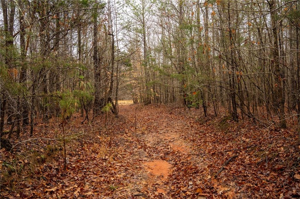 1702 Jones Ferry Road Elberton, GA 30635 - Photo 21 of 21 a view of a yard with large trees