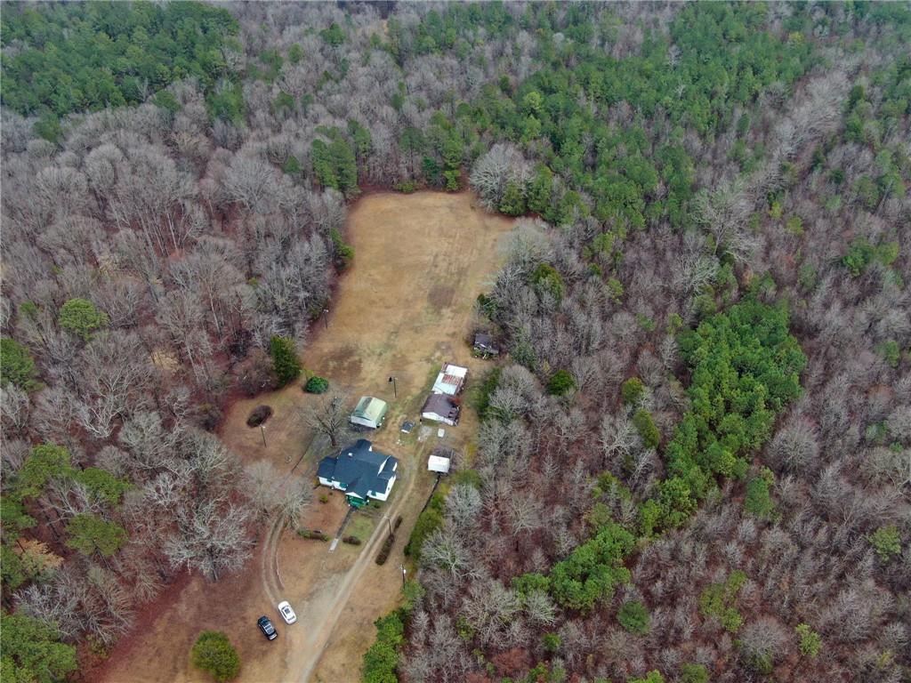 1702 Jones Ferry Road Elberton, GA 30635 - Photo 4 of 21 a picture of trees
