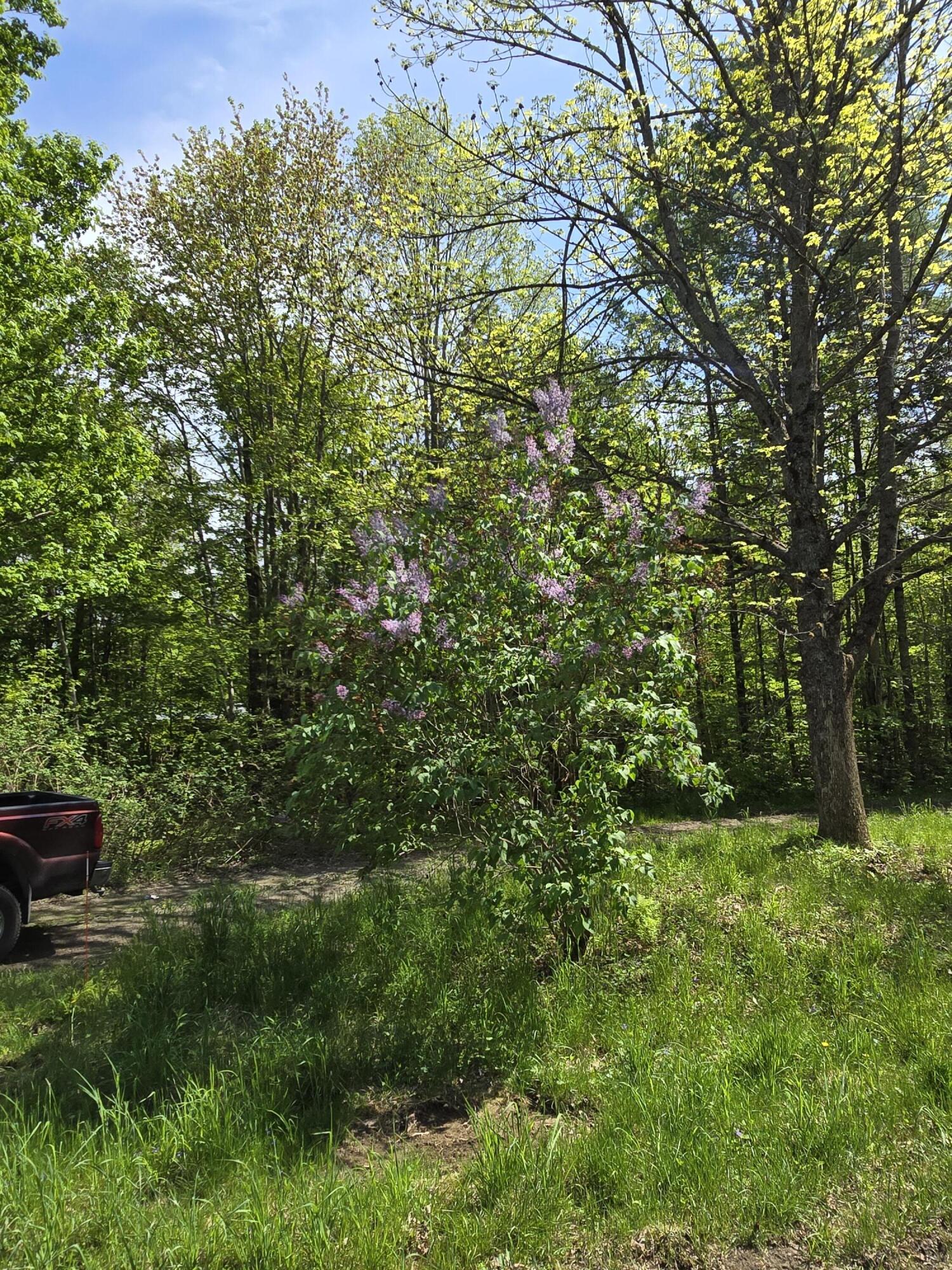 133 Beans Corner Road Pittsfield, ME 04967 - Photo 22 of 61 20240521_144621