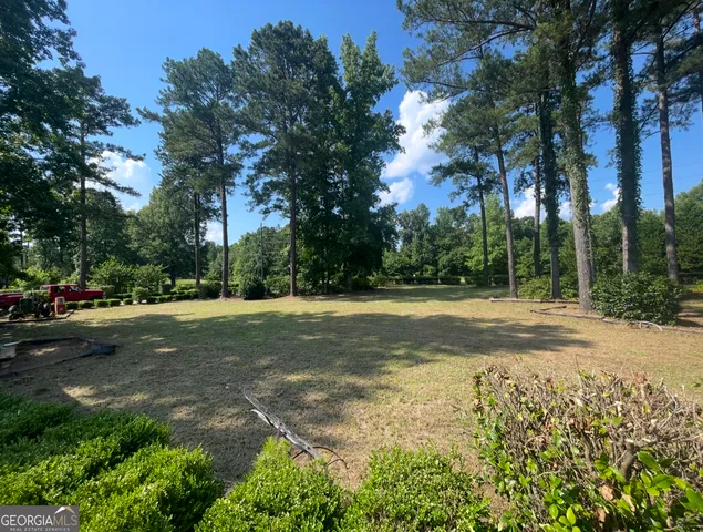 a view of a yard with palm trees