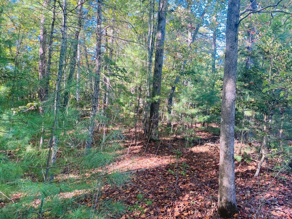 Lot 34 Point Overlook Trail Murphy, NC 28906 - Photo 4 of 17