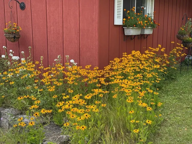 $295,000 | N4615 County Rd D, Marion, WI 54950