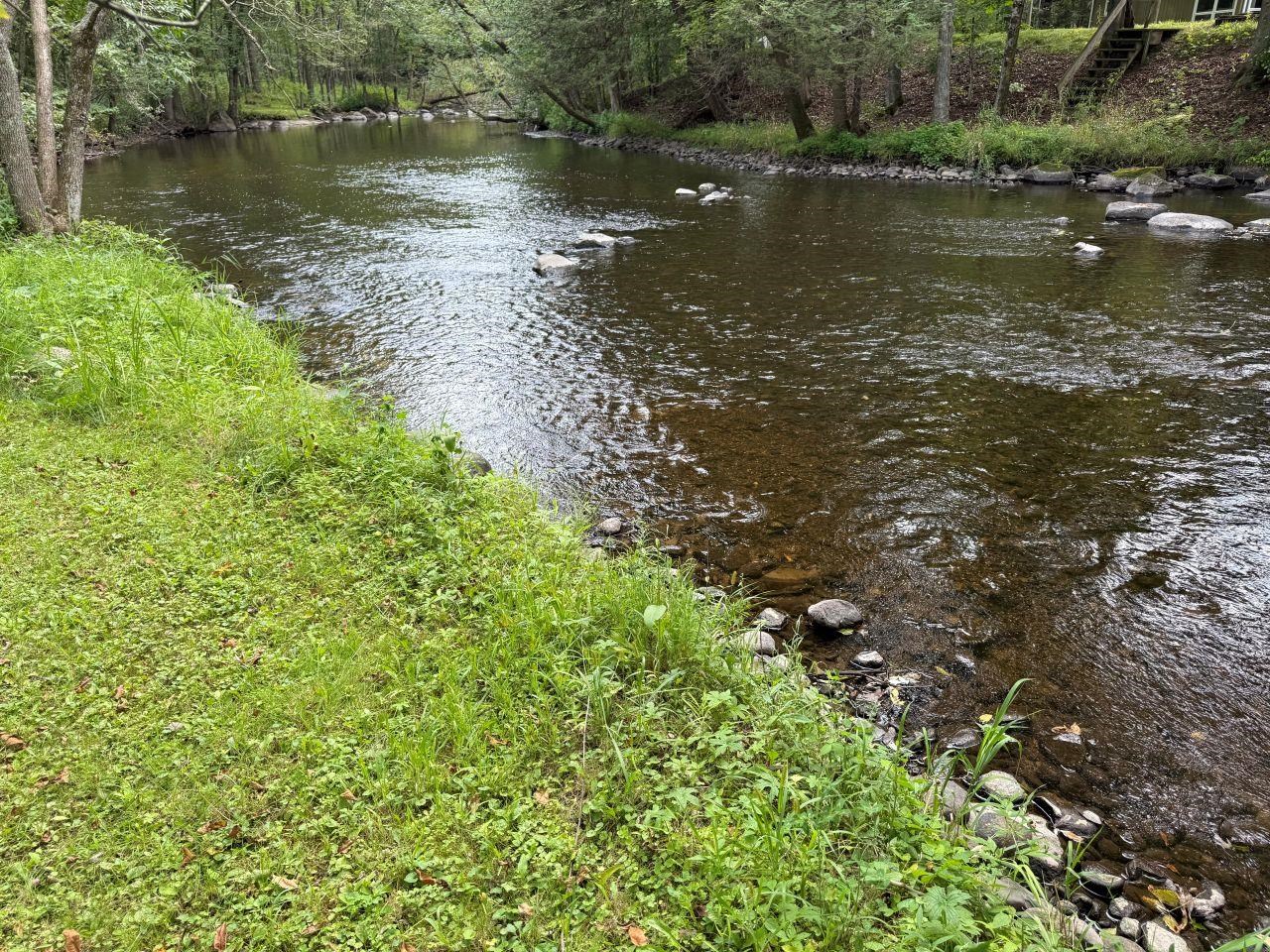 N4615 County Rd D Marion, WI 54950 - Photo 44 of 49