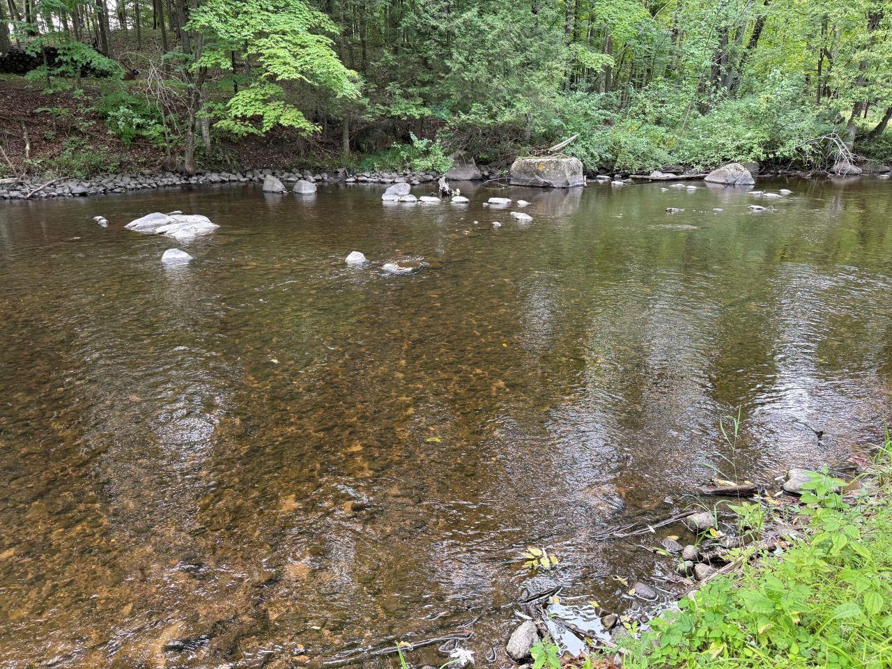 N4615 County Rd D Marion, WI 54950 - Photo 46 of 49