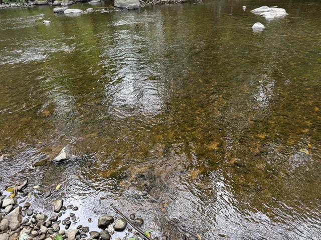 $295,000 | N4615 County Rd D, Marion, WI 54950