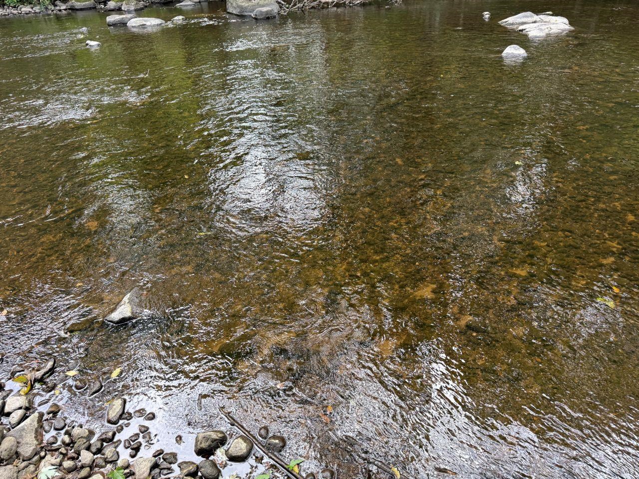 N4615 County Rd D Marion, WI 54950 - Photo 47 of 49