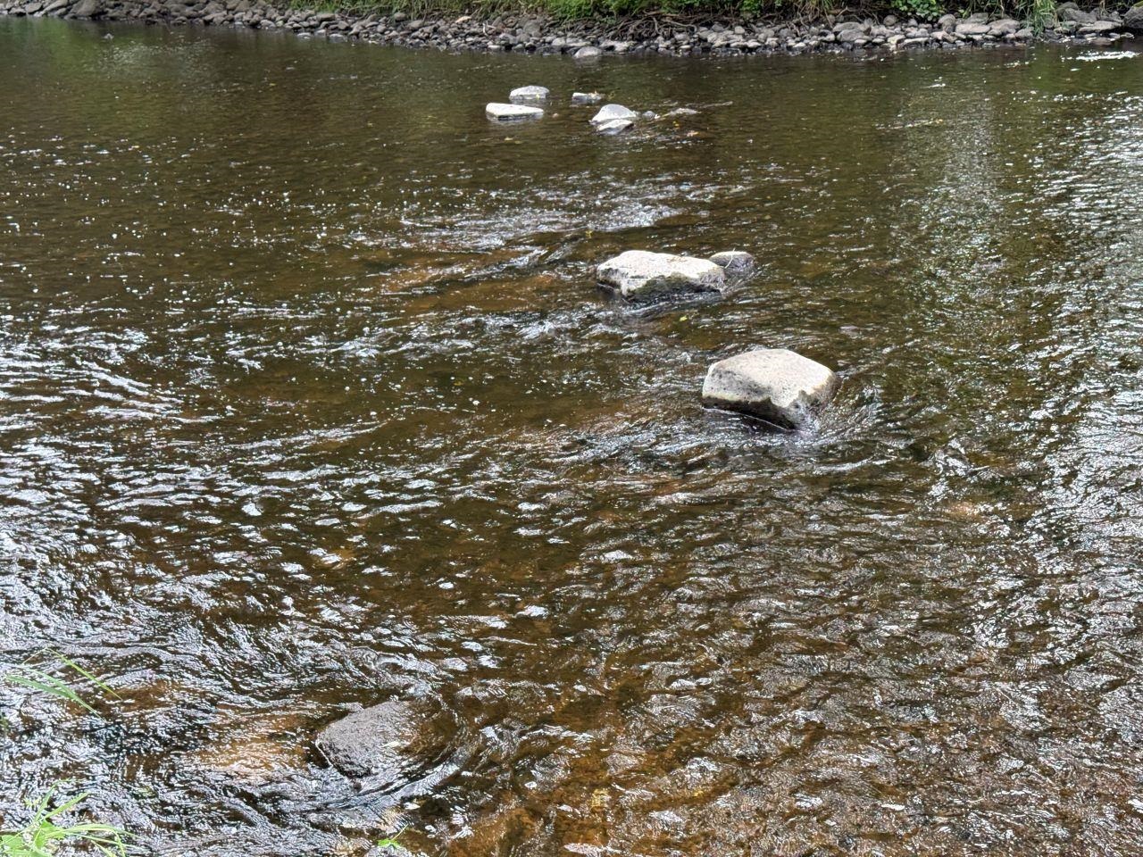 N4615 County Rd D Marion, WI 54950 - Photo 48 of 49