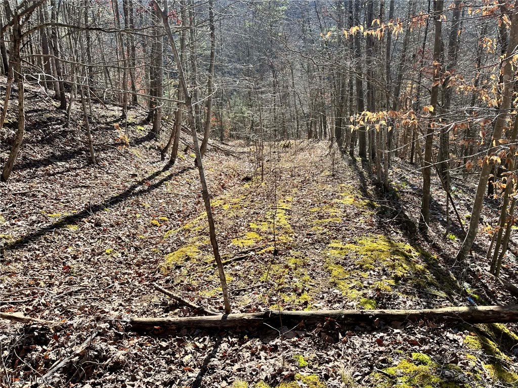 34 Rd Ripley Wv 25271 Ripley, WV 25271 - Photo 2 of 14