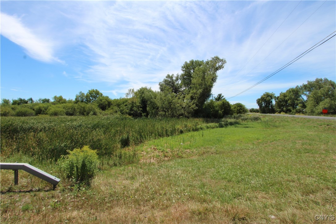 0 Rt-342 Evans Mills Calcium, NY 13616 - Photo 3 of 6