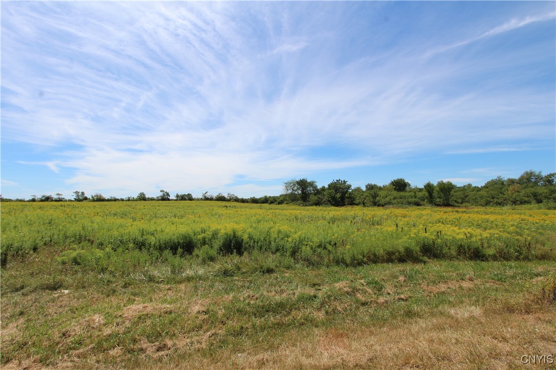 0 Rt-342 Evans Mills Calcium, NY 13616 - Photo 4 of 6