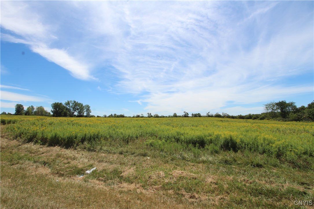 0 Rt-342 Evans Mills Calcium, NY 13616 - Photo 5 of 6