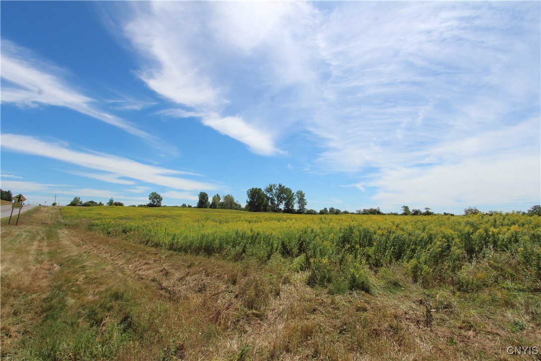 0 Rt-342 Evans Mills Calcium, NY 13616 - Photo 6 of 6