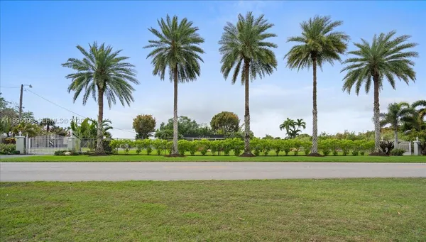 a view of a backyard with plants and a garden